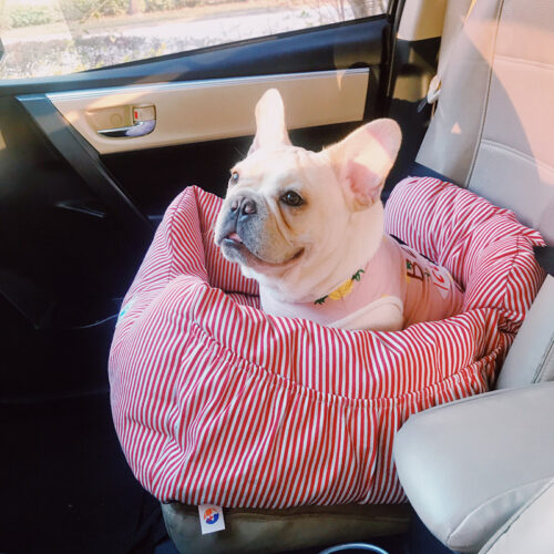 Schnauzer car seat cushion