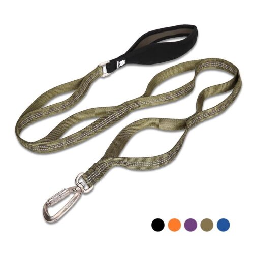 Walking Dog Leash