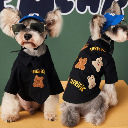 Trendsetting Wear for Small to Medium Dogs